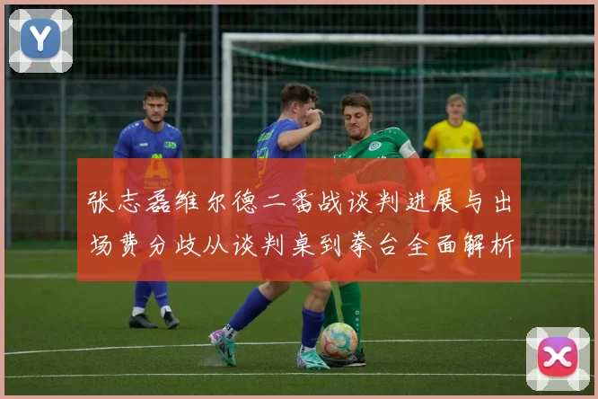 张志磊维尔德二番战谈判进展与出场费分歧从谈判桌到拳台全面解析