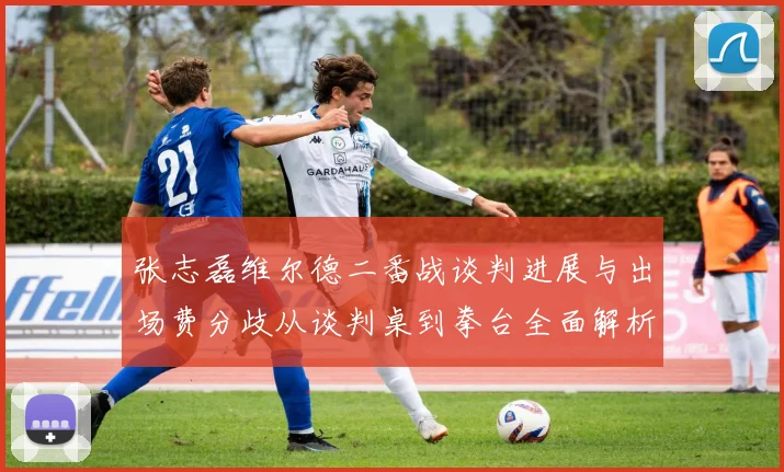 张志磊维尔德二番战谈判进展与出场费分歧从谈判桌到拳台全面解析